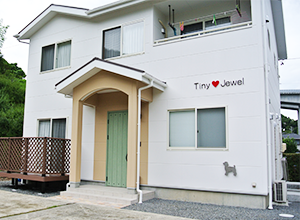 静岡県島田市のペット美容室・ペットホテルのペットサロンTinyJewel